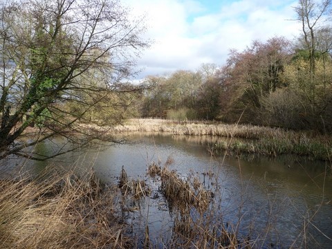 Hillditch Pool